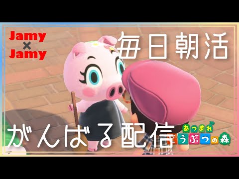 あつ森朝活！【あつ森】あつまれ どうぶつの森【NintendoSwitch】