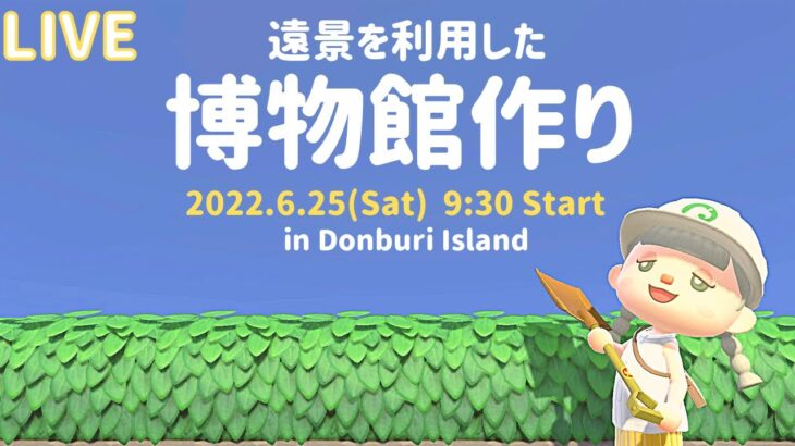 【あつ森生放送】のんびり雑談しつつ夏の虫あつめ🌴