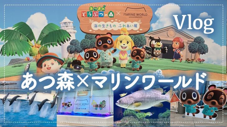 【あつ森イベント】始まったよ！＜あつ森×マリンワールド（水族館）＞コラボに早速行ってきた🐬テンション上がりすぎた大人たち【あつまれどうぶつの森】