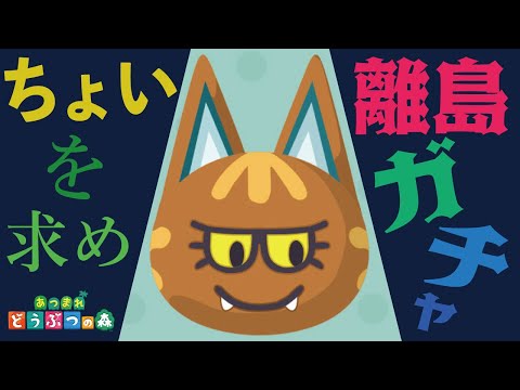 【地獄企画】離島ガチャでちょい出るまでがんばる配信【あつ森】