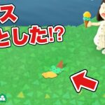 【あつ森】アイス落としちゃった！？もったいない！【あつまれどうぶつの森】