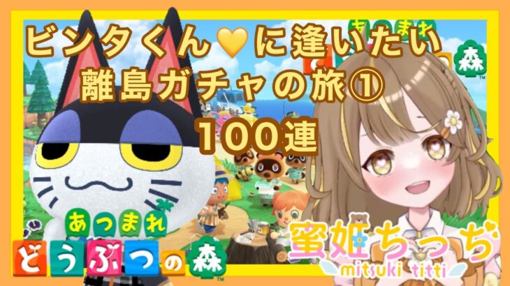 【あつ森】　今から始める　あつまれどうぶつの森　ライブ配信 ③　離島ガチャ100連　🌼【新人VTuber】　蜜姫ちっち🍯