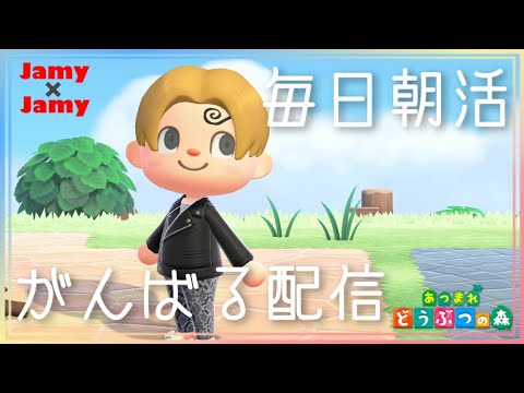 本日15時～靴下おさわり会！あつ森朝活！【あつ森】あつまれ どうぶつの森【NintendoSwitch】