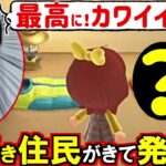 (あつ森)8連続住民キャンプガチャ中に大好きな住民が来てしまった…(あつまれどうぶつの森)