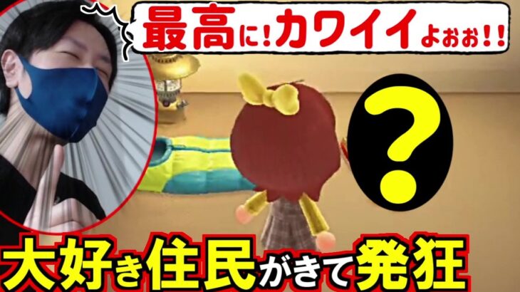 (あつ森)8連続住民キャンプガチャ中に大好きな住民が来てしまった…(あつまれどうぶつの森)