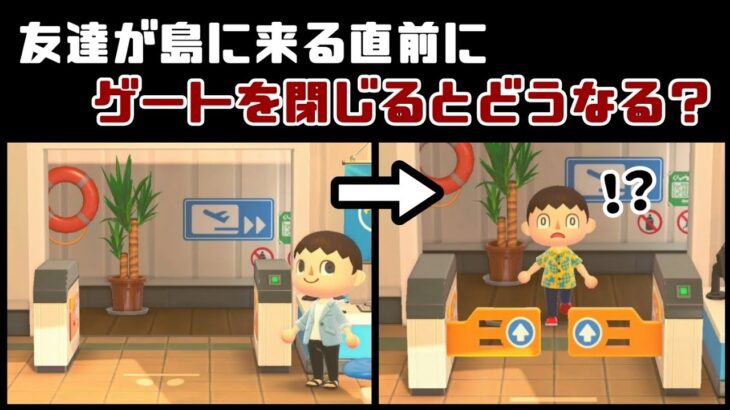 【あつ森】友達が島に来る直前にゲートを閉じると特殊な現象が…⁉︎ 飛行場の細かすぎる小ネタ集！【あつまれ どうぶつの森】@レウンGameTV