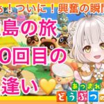 【あつ森】　今から始める　あつまれどうぶつの森　ライブ配信 ⑭　朝活　離島ガチャ　　🌼【新人VTuber】　蜜姫ちっち🍯