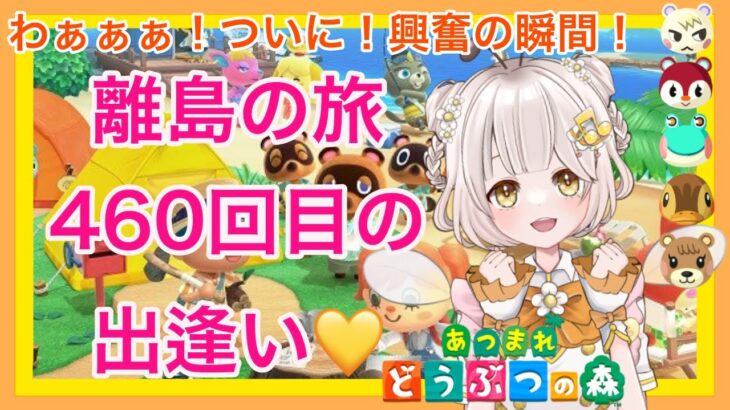 【あつ森】　今から始める　あつまれどうぶつの森　ライブ配信 ⑭　朝活　離島ガチャ　　🌼【新人VTuber】　蜜姫ちっち🍯