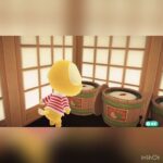 ハチさま　田舎暮らしのライフスタイル　#animal #animalcrossing #あつ森 #ハピパラ #shorts