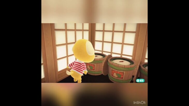 ハチさま　田舎暮らしのライフスタイル　#animal #animalcrossing #あつ森 #ハピパラ #shorts