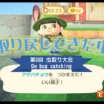 【あつ森】イベントで忙しい週末その１、楽しく住民とおしゃべりして虫取りして楽しい１日でした【虫取り大会】