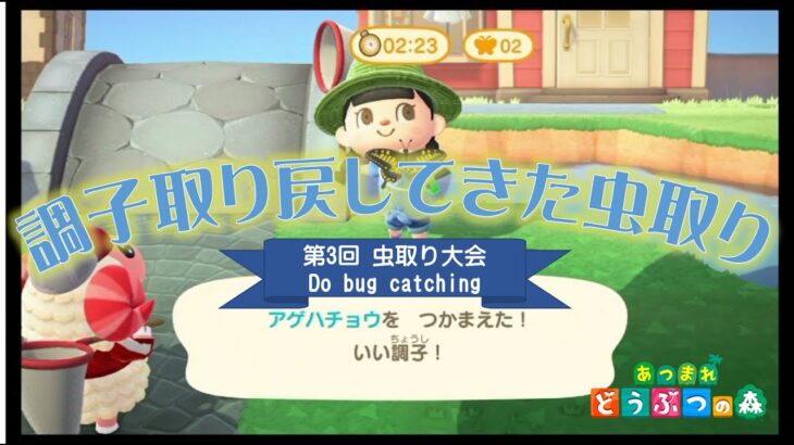 【あつ森】イベントで忙しい週末その１、楽しく住民とおしゃべりして虫取りして楽しい１日でした【虫取り大会】