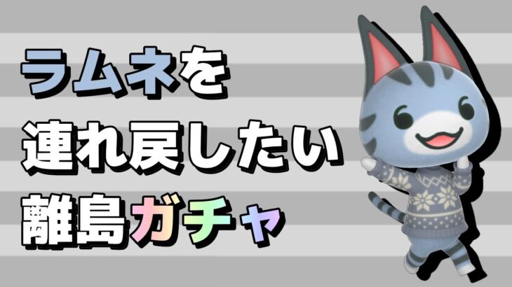 【あつ森】今日こそラムネを連れ戻したい離島ガチャ【あつまれどうぶつの森】