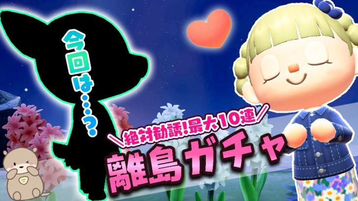 【あつ森】深夜３時の奇跡！？離島ガチャで久しぶりの神引きに息をのむ | 最大10連 | あつまれどうぶつの森