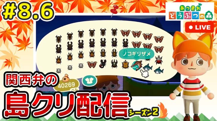 【あつ森ライブ】緊急！金欠なのでお金稼ぎその2！島クリエイター雑談配信やで！#8.6【どうぶつの森】