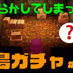 【あつ森】リス住民限定離島ガチャ！＃4  離島ガチャ！リス住民だけを勧誘！【住民厳選】