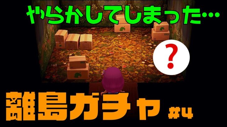 【あつ森】リス住民限定離島ガチャ！＃4  離島ガチャ！リス住民だけを勧誘！【住民厳選】