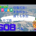 【初見さん歓迎】あつまれどうぶつの森 カブ開放　608ベル