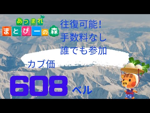 【初見さん歓迎】あつまれどうぶつの森 カブ開放　608ベル