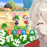 【あつまれどうぶつの森】汚い島を救いに行くぞ大作戦【新人Vtuber / 弐ト】