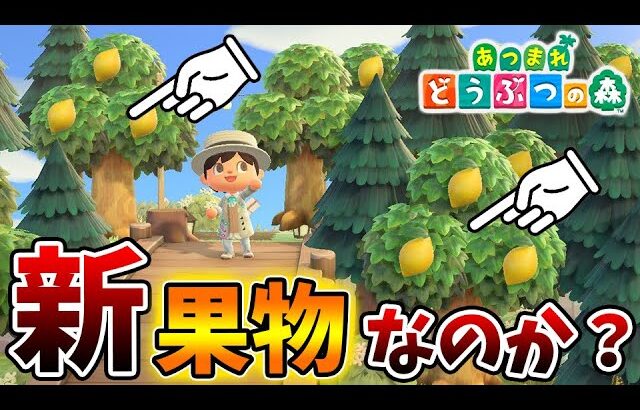 【あつ森】レモンが追加されている？これは新しい果物なのか「真相」について。【あつまれどうぶつの森/攻略/実況/bgm/島クリエイター/島紹介/アプデ/新要素/新情報】