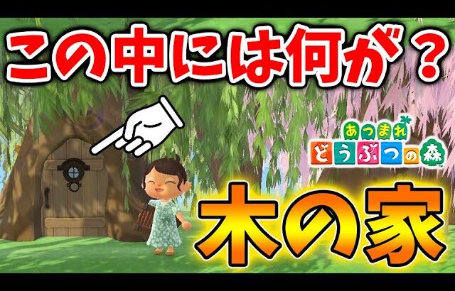 【あつ森】新しい家の増築？この木の家の中には何があるのか？？そもそもこの木の家はどうやって建てたのか？【あつまれどうぶつの森/攻略/実況/bgm/島クリエイター/島紹介/アプデ/新要素/新情報】