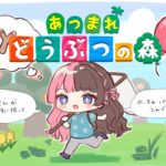 【 あつまれどうぶつの森】家具集め作業枠 ハピパラも買ったよ～【ぶいすぽっ！/橘ひなの】