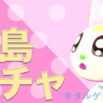 【あつ森ライブ配信】離島ガチャ【あつまれどうぶつの森】