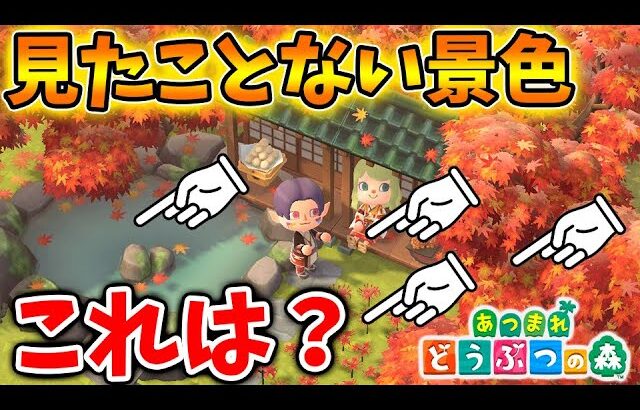 【あつ森】10月突入！いったいこれは？見たことない家具や紅葉の木が生えているぞ【あつまれどうぶつの森/攻略/実況/bgm/島クリエイター/島紹介/アプデ/新要素/新情報/ハロウィン】