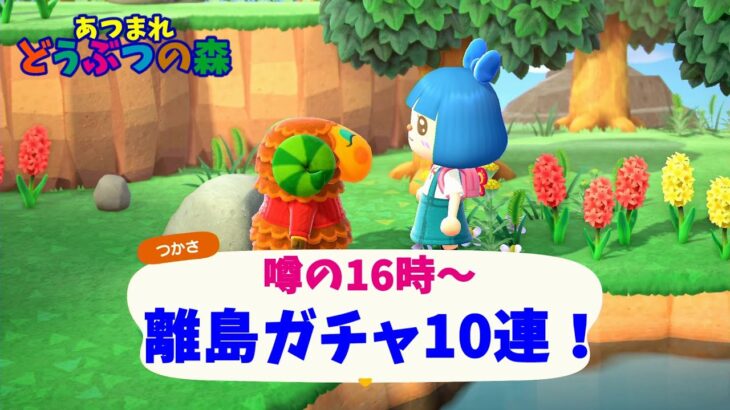 噂の16時にチャレンジ！離島ガチャ10連！『あつまれどうぶつの森・あつ森switch』