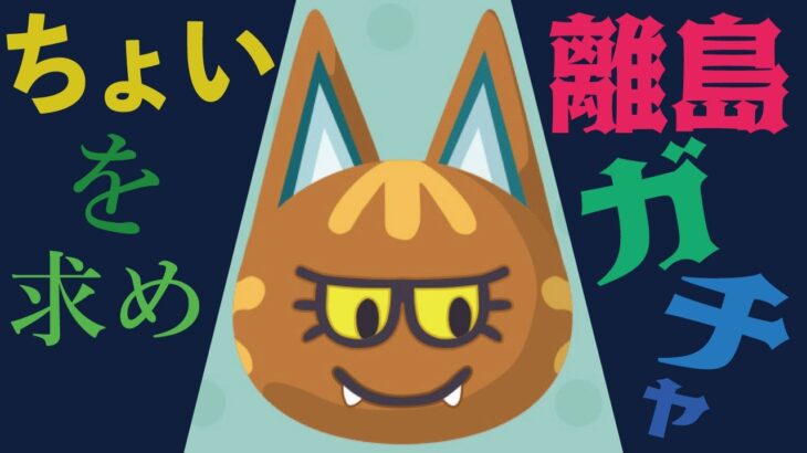 【離島ガチャ】ちょいをすごく出したいと言い続け、はや2年配信【あつ森】