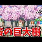 【あつ森】とび森時代にあった巨大樹があつ森の世界で出現している？？【あつまれどうぶつの森/攻略/実況/bgm/島クリエイター/島紹介/アプデ/新要素/新情報】