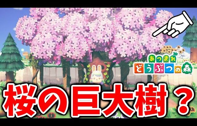 【あつ森】とび森時代にあった巨大樹があつ森の世界で出現している？？【あつまれどうぶつの森/攻略/実況/bgm/島クリエイター/島紹介/アプデ/新要素/新情報】