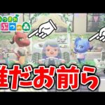 【あつ森】これは新住民か？？いったい誰なんだお前らｗｗｗｗ【あつまれどうぶつの森/攻略/実況/bgm/島クリエイター/島紹介/アプデ/新要素/新情報】