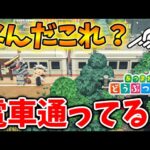 【あつ森】これはヤバいw超巨大な電車が島を横断しているだと？どういうことだこれは？【あつまれどうぶつの森/攻略/実況/bgm/島クリエイター/島紹介/アプデ/新要素/新情報】