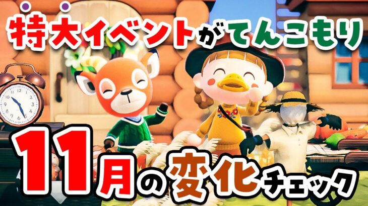 【あつ森】特大イベントあり🍄11月の変化をチェックしよう！アプデで追加されたきのこ料理も紹介【島クリエイト | あつまれどうぶつの森 | 実況】