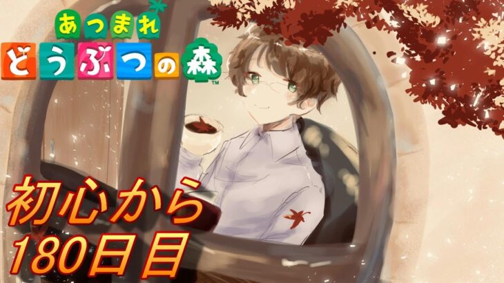 「あつまれどうぶつの森/あつ森」売土地どうなっているのか？　予定/ルーティーンメイン/もしかしたら離島ガチャ/　★今頃になりあつ森を初めから楽しんでいく社会人180日目