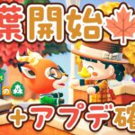 【あつ森】本日開始！紅葉イベント🍁9ヶ月ぶりのアプデを確認【あつまれどうぶつの森 | ライブ】@じんむ