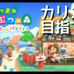 【生配信】別荘作りたくなったのでハピパラします🏠【あつ森】