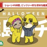 【あつ森 離島ガチャ】ハロウィンだしシャンペン見つけとく？