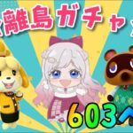 【あつ森】誰に出会える？？離島ガチャ🎈カブ価６０３ベル💰【視聴者参加型】