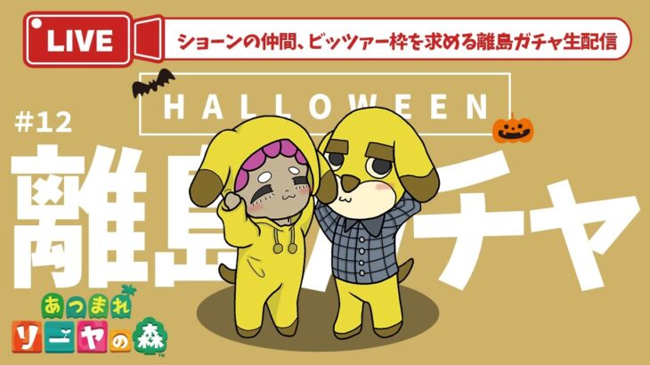 【あつ森 離島ガチャ】ハロウィンだしシャンペン見つけとく？