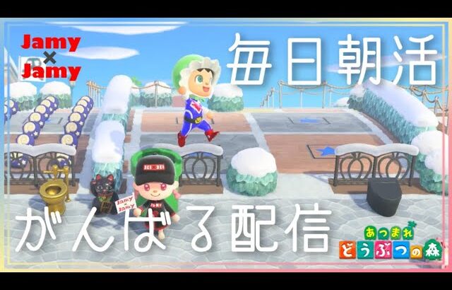 本日15時～トップスおさわり会パート5！あつ森朝活！【あつ森】あつまれ どうぶつの森【NintendoSwitch】