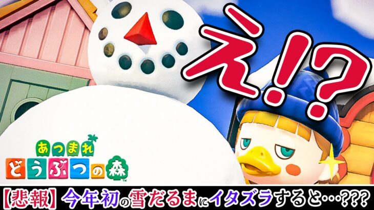 【あつ森】今年初のゆきだるまにイタズラすると…？本日開始！雪イベントをチェックしよう⛄️【2022年 | 雪だるま | 雪の結晶 | あつまれどうぶつの森 | 実況】