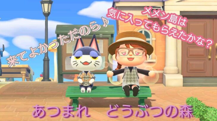 【あつ森】#397、今日はハピパラ！メルボルンさんの庭作りたい！配信✨【あつまれ どうぶつの森】300日以上毎日連続配信！！