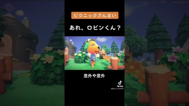 【あつ森/ハピパラ】人見知り発動！ペーターのピクニックで絆を深めよう！//Beau’s picnic! //Animal Crossing Happy Home Paradise #shorts