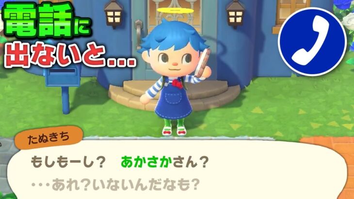 たぬきちから電話かかってきてる時にずっと出なかったら切られる説【あつ森 / あつまれどうぶつの森】「小ネタ検証」