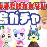 【あつ森配信】離島ガチャで人気住民を勧誘したい！ライブ【あつまれ どうぶつの森】