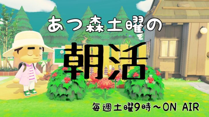 【あつ森配信】土曜朝のあつ森タイムvol.15　～ハピパラで音楽ステージ作り～