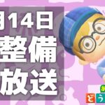 【あつ森】最後の仕上げ！島を完成させよう【あつまれどうぶつの森】1月14日島整備生放送